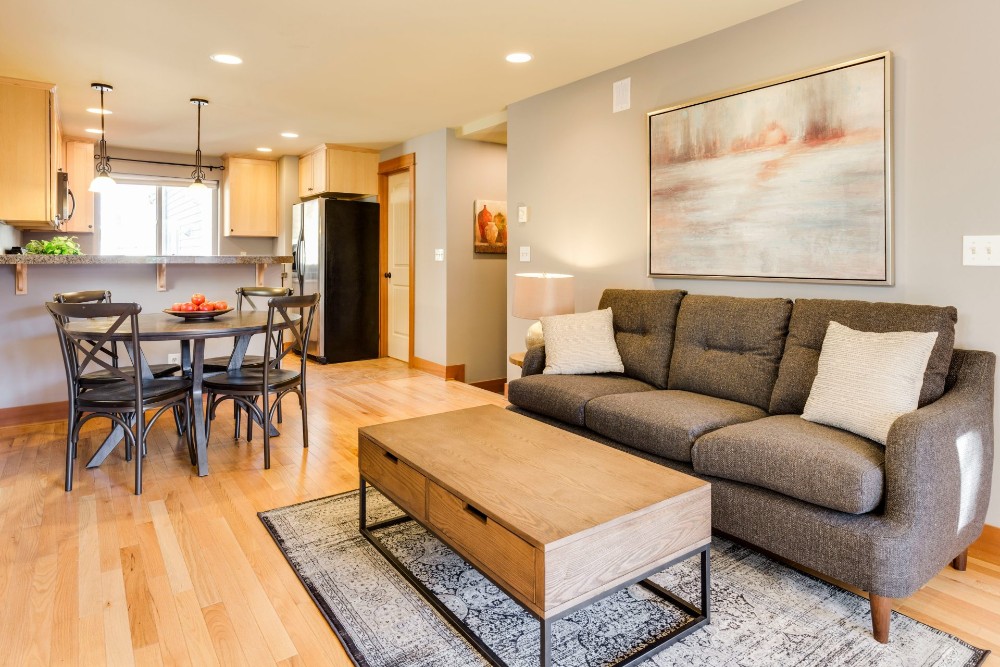 Cozy modern living area